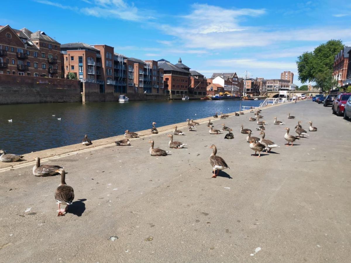 Hartoft St - 2 Bed Near River York Exteriör bild